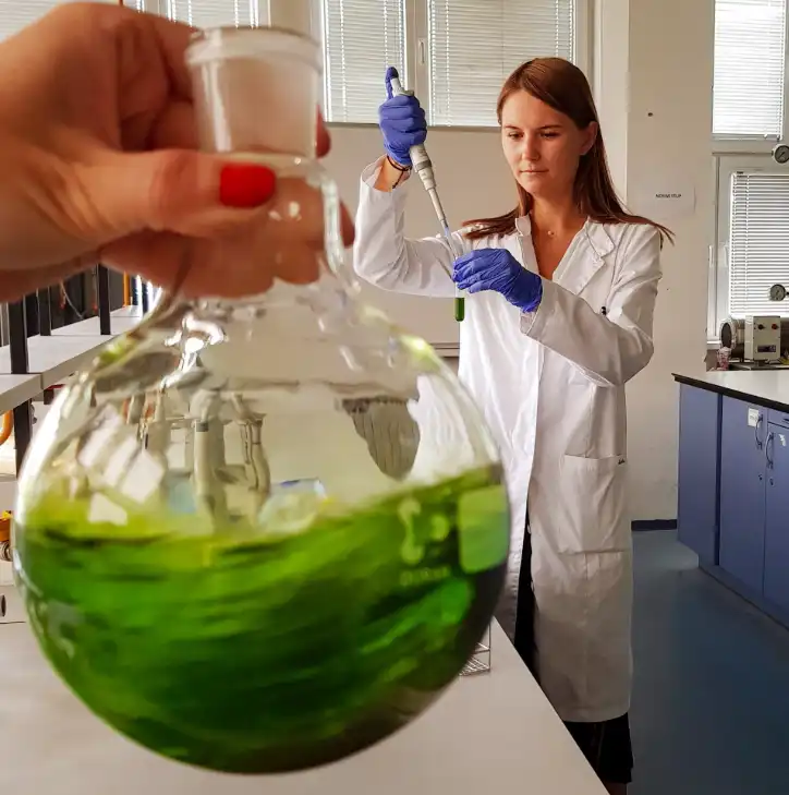 young researchers