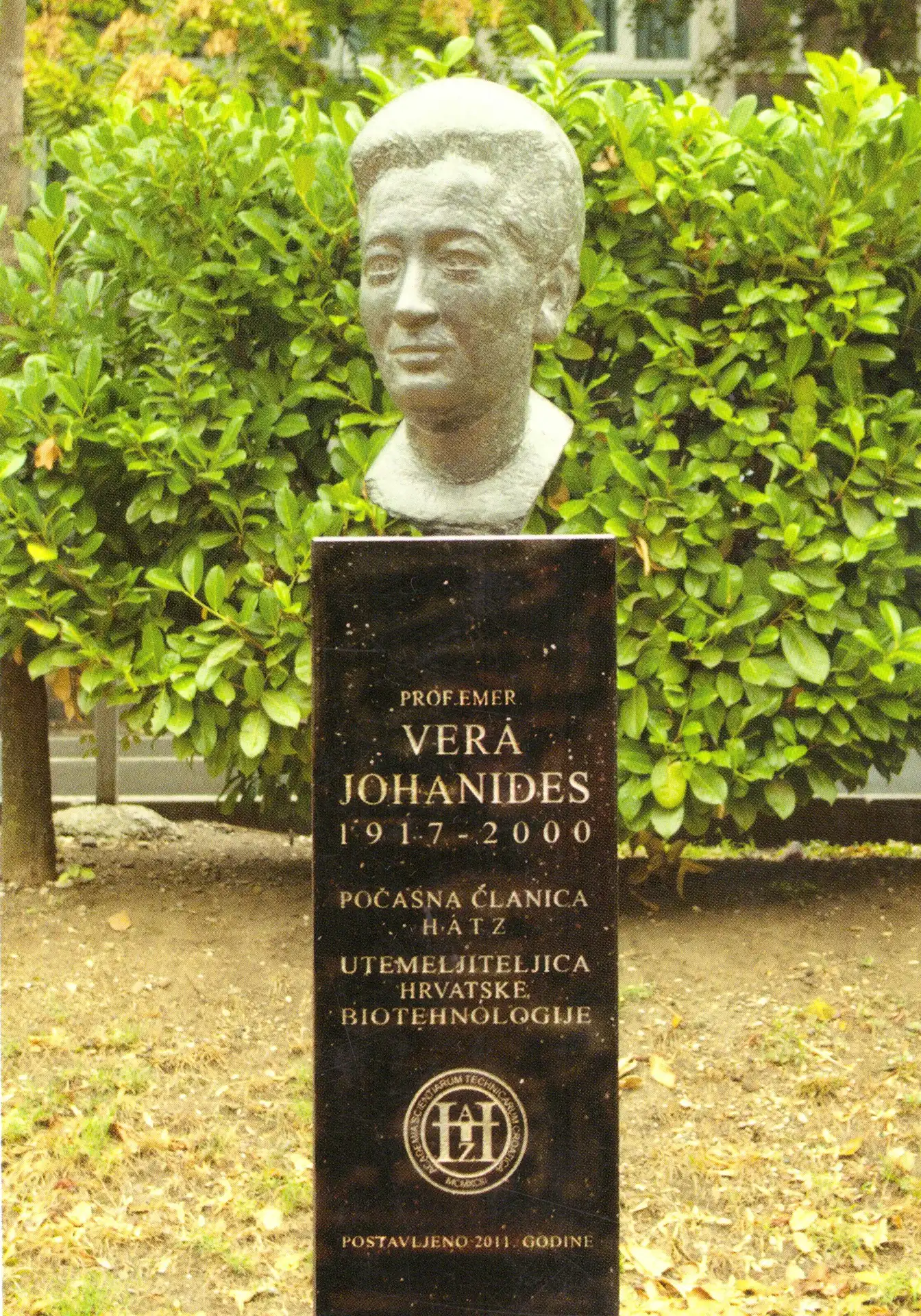 bista Johanides_crop